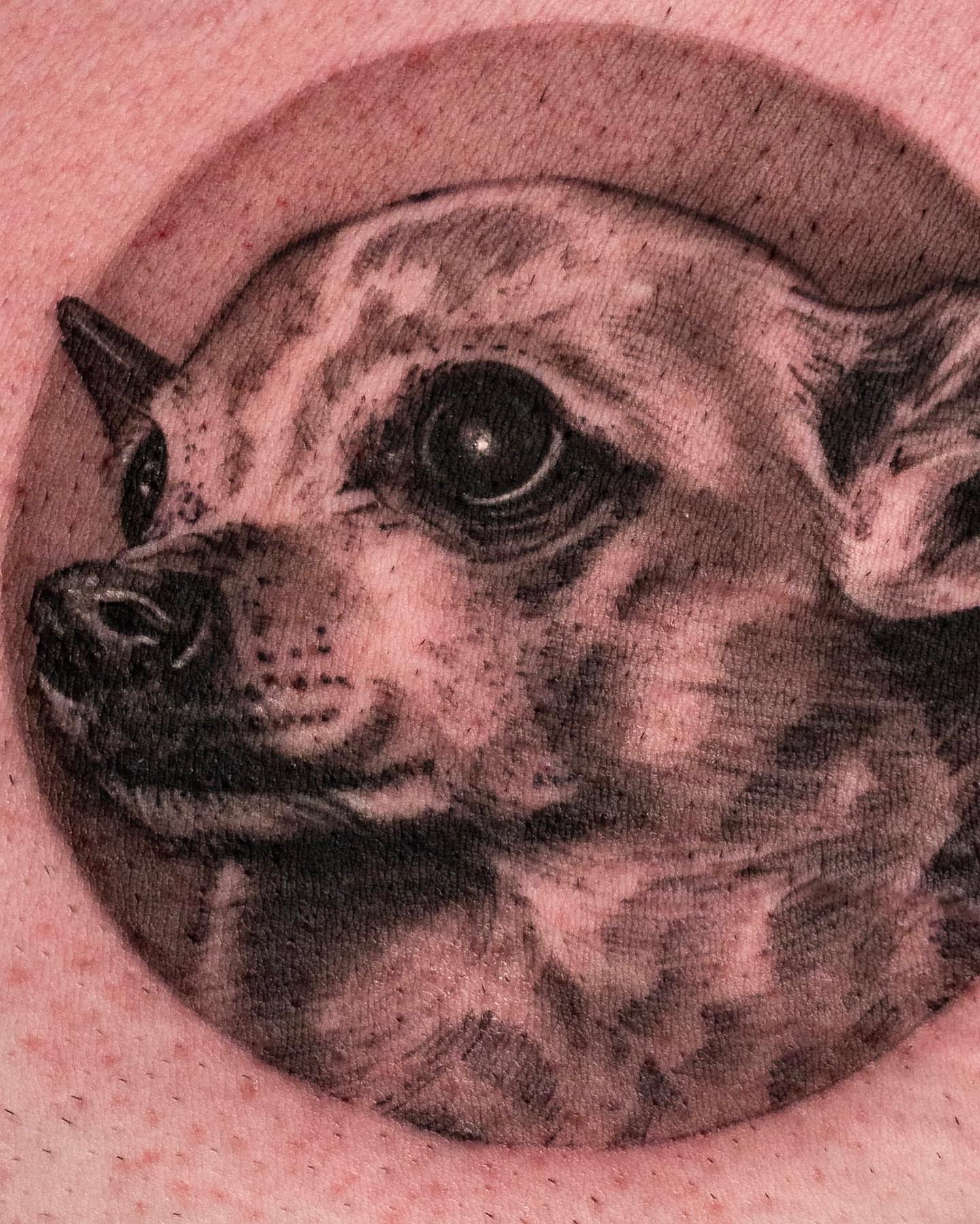 Dog realism tattoo by Jaime Navarro