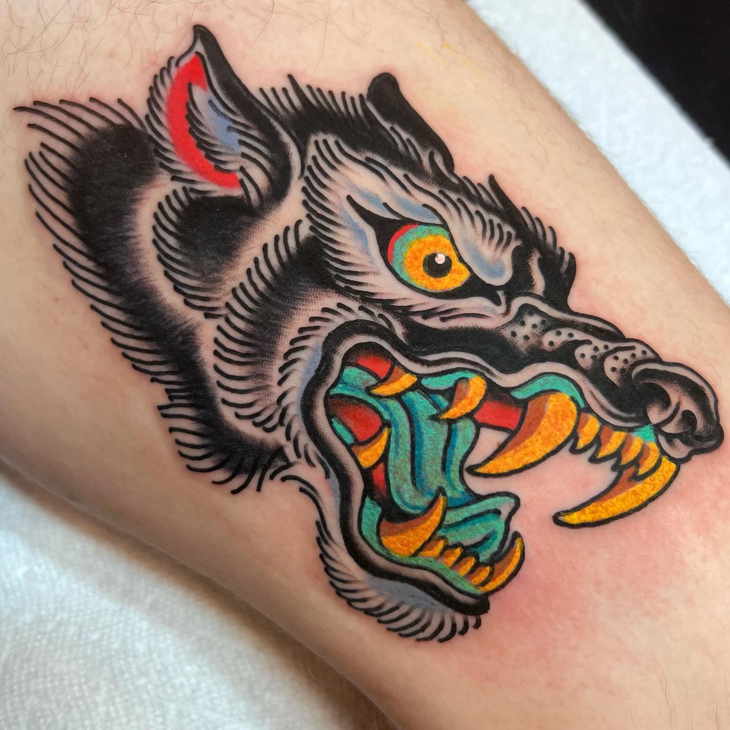 Wolf American traditional tattoo on the forearm by Barron