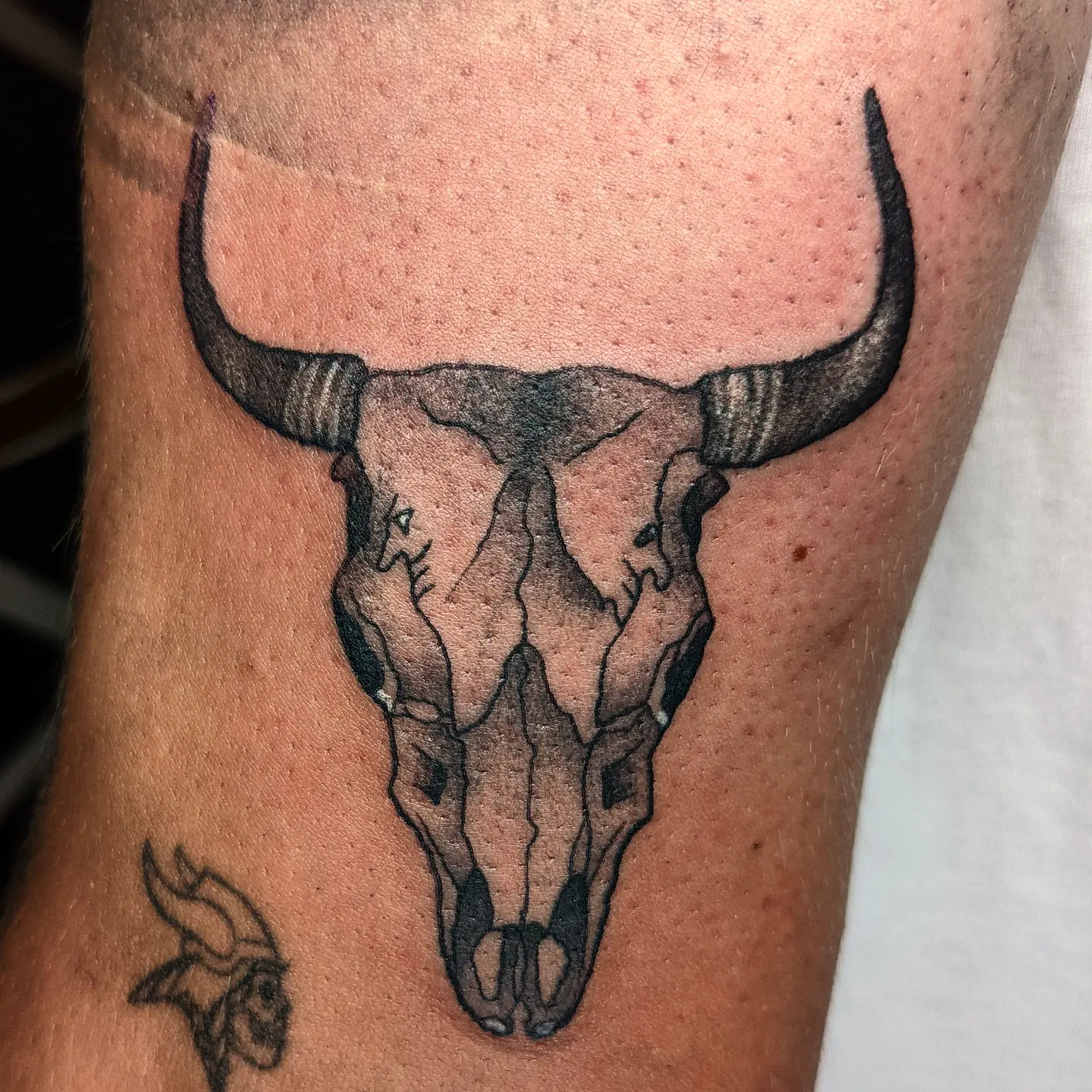 Bull skull black and grey tattoo on the forearm by Aim 🤍