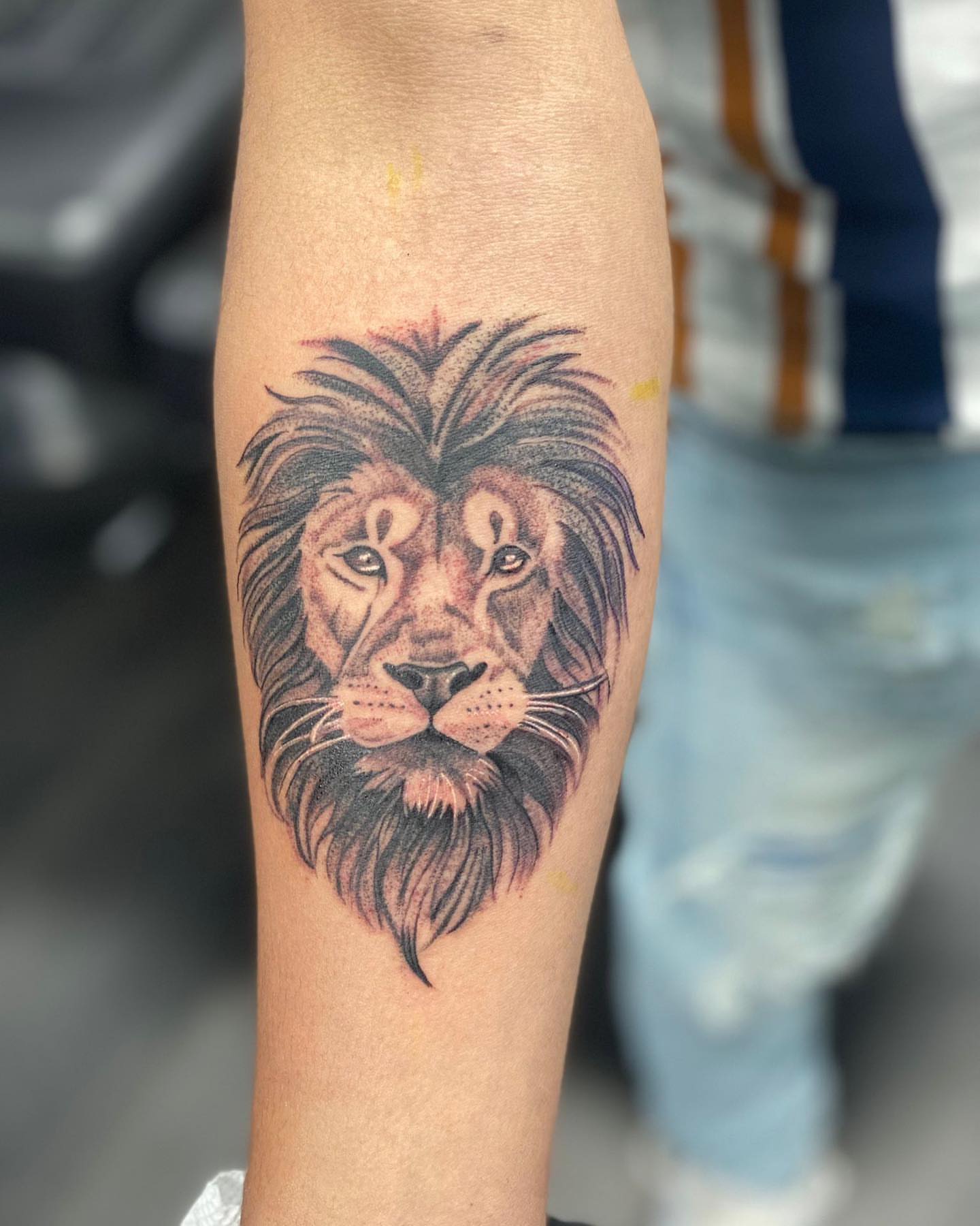 Lion realism tattoo on the forearm by Alberto Ramirez