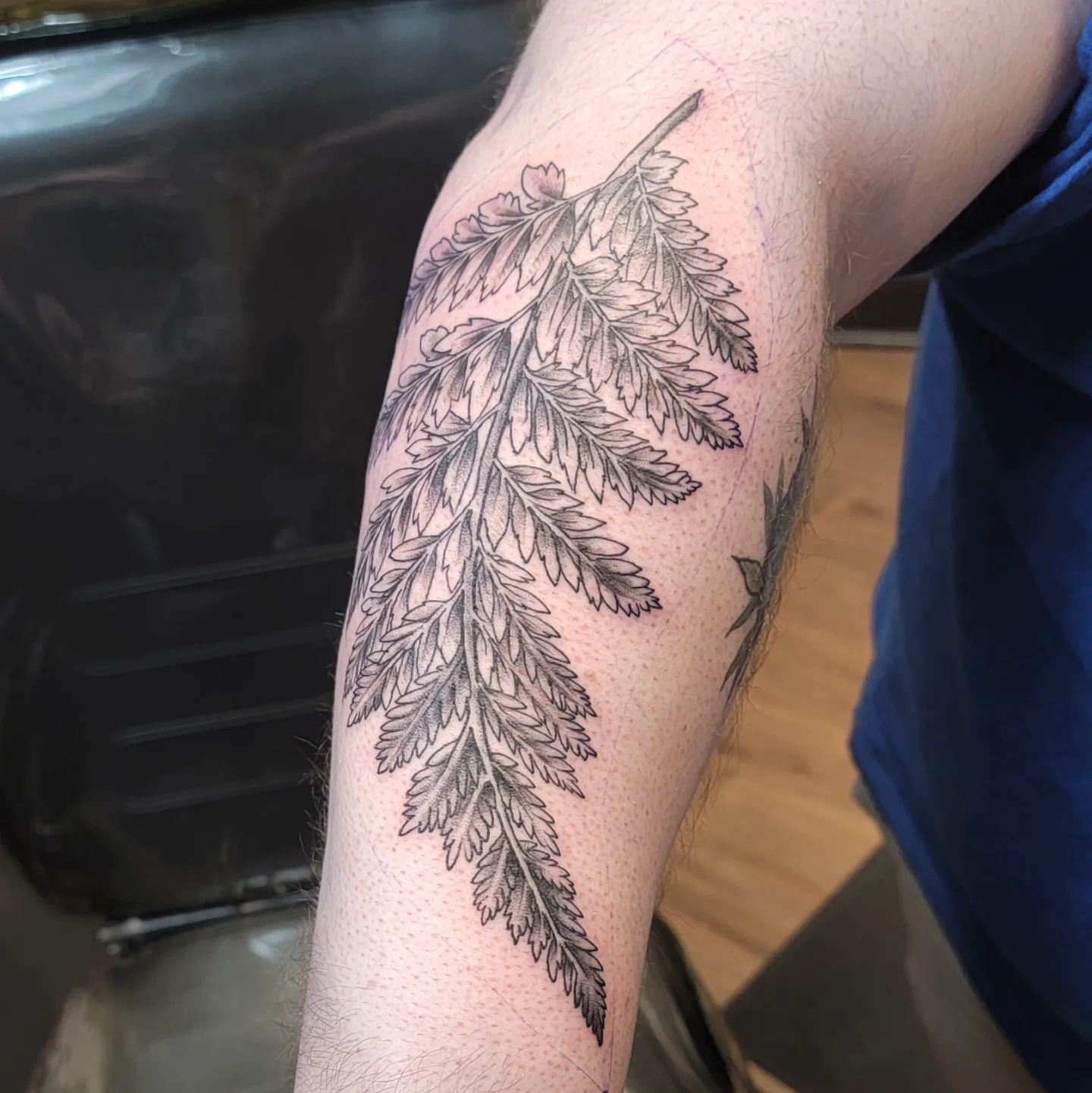 Fern black and grey tattoo on the forearm by ๐๏ธ, Ashland, Virginia
