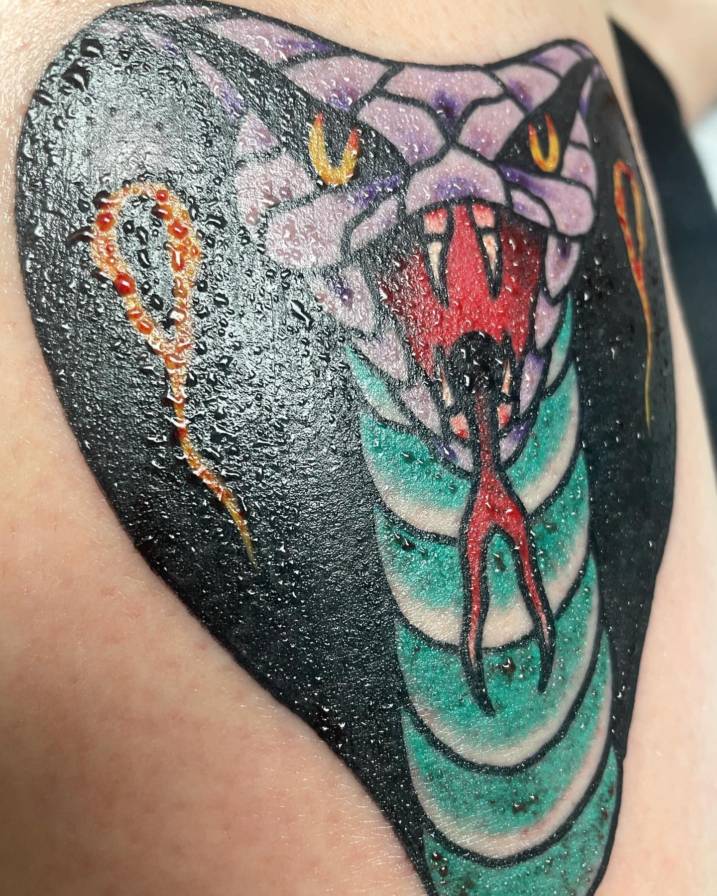 Snake neo-traditional tattoo on the shoulder by Alex Fannin