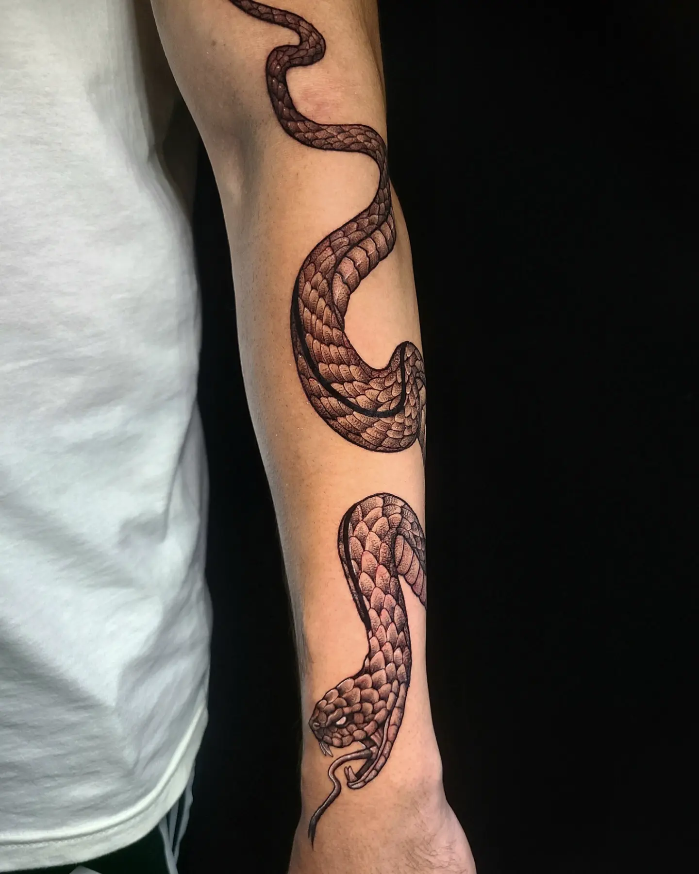 Snake black and grey tattoo on the forearm by Sydney Paige, Mentor, Ohio