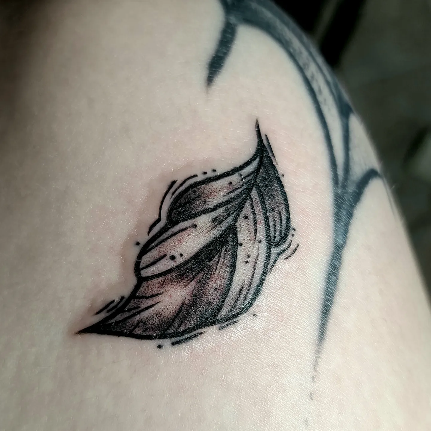 Tattoo by @starrdvst_ β dotwork