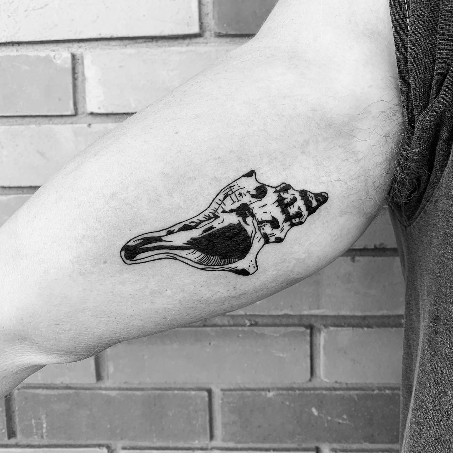 Conch shell black and grey tattoo on the forearm by s͓̽a͓̽w͓̽n͓̽j͓̽a͓̽