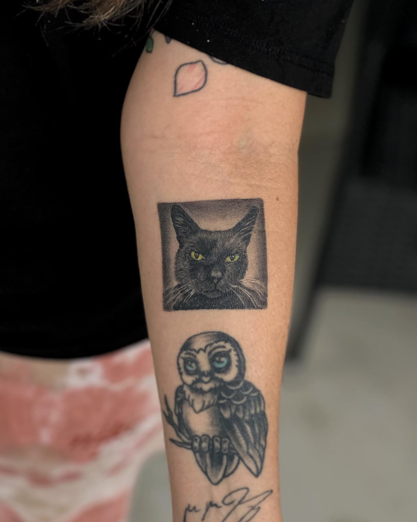 Cat and owl dotwork tattoo on the forearm by Matthew Diaz
