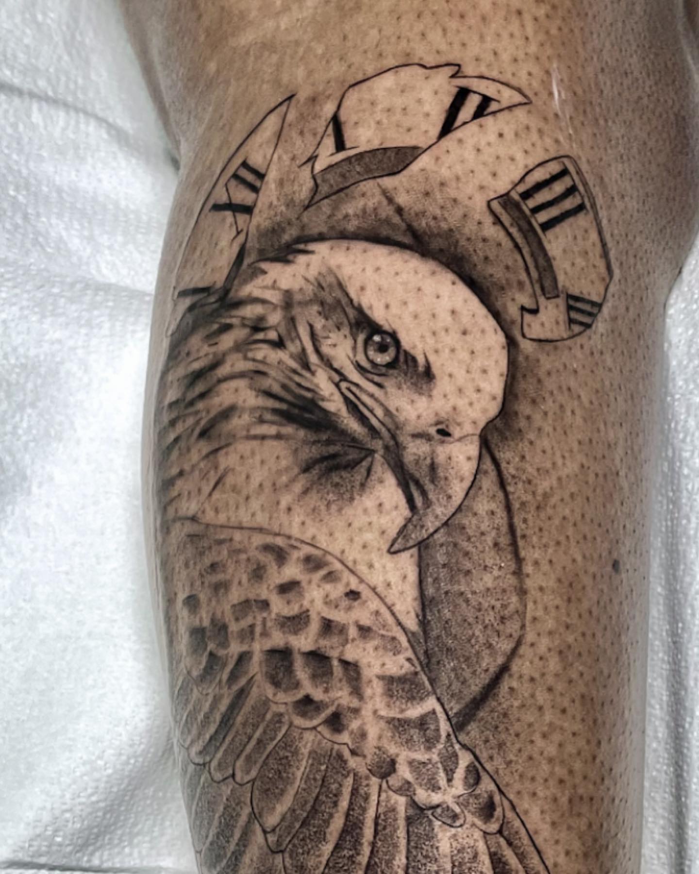 Eagle black and grey tattoo on the forearm by Javier Ramos