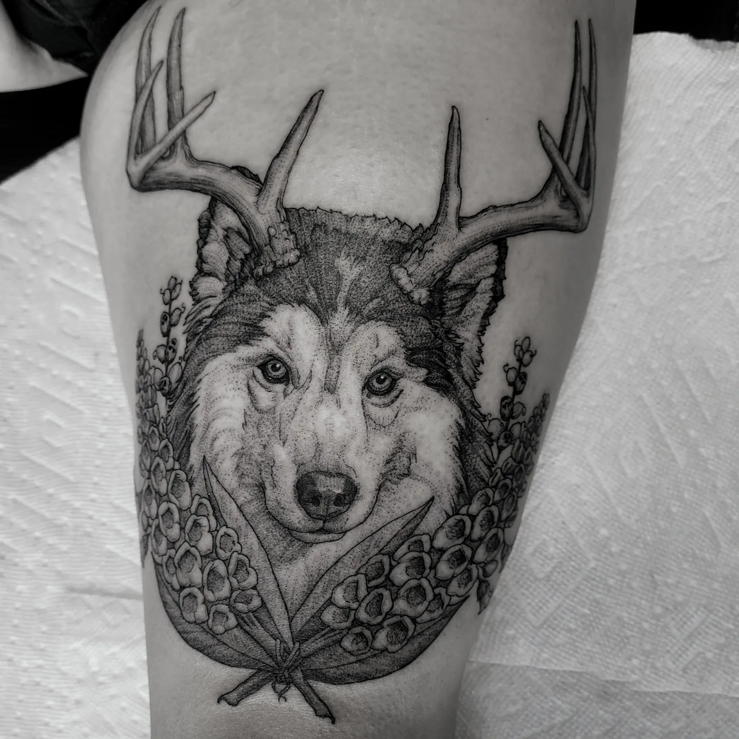 Wolf with antlers dotwork tattoo on the forearm by Matthew Barnett