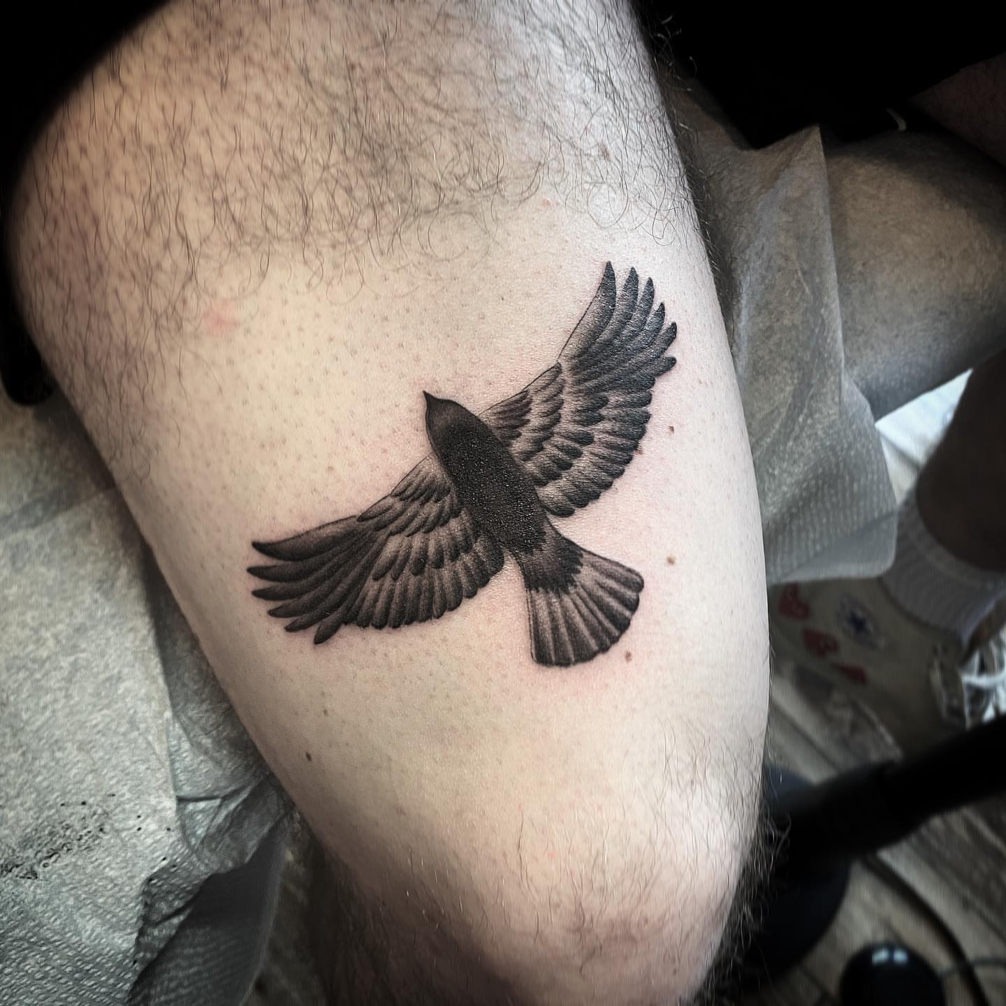 Bird black and grey tattoo on the thigh by ⠀⠀ ⠀ ⠀ ⠀⠀ ⠀⠀ ⠀⠀ ⠀ ⠀⠀ ⠀⠀ᎪᎳᏃ, West Hollywood, California
