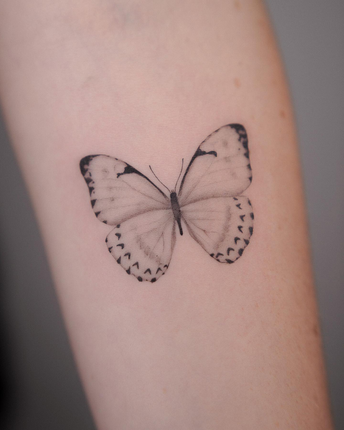 Butterfly black and grey tattoo on the forearm by Tattoo Artist