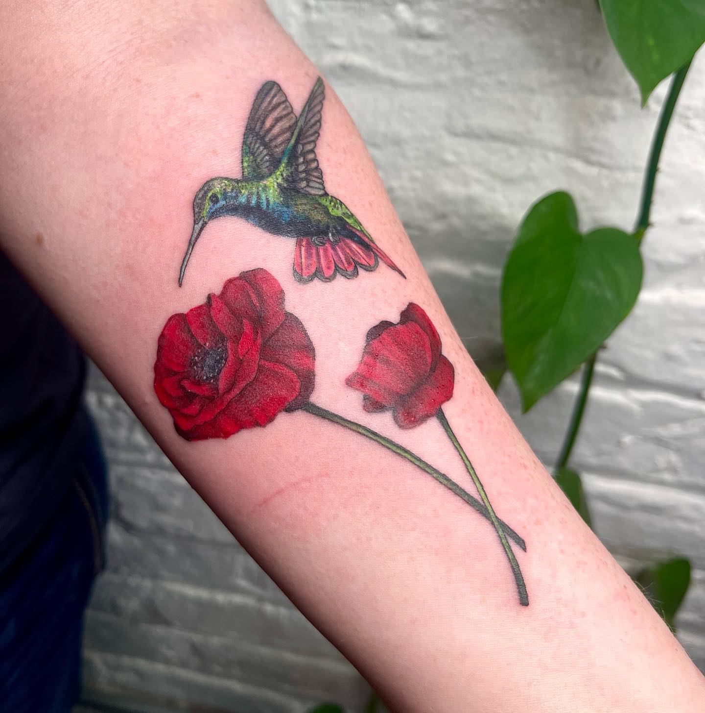 Hummingbird and poppies realism tattoo on the forearm by 𓆏 Alyssa Carbonara 𓆏
