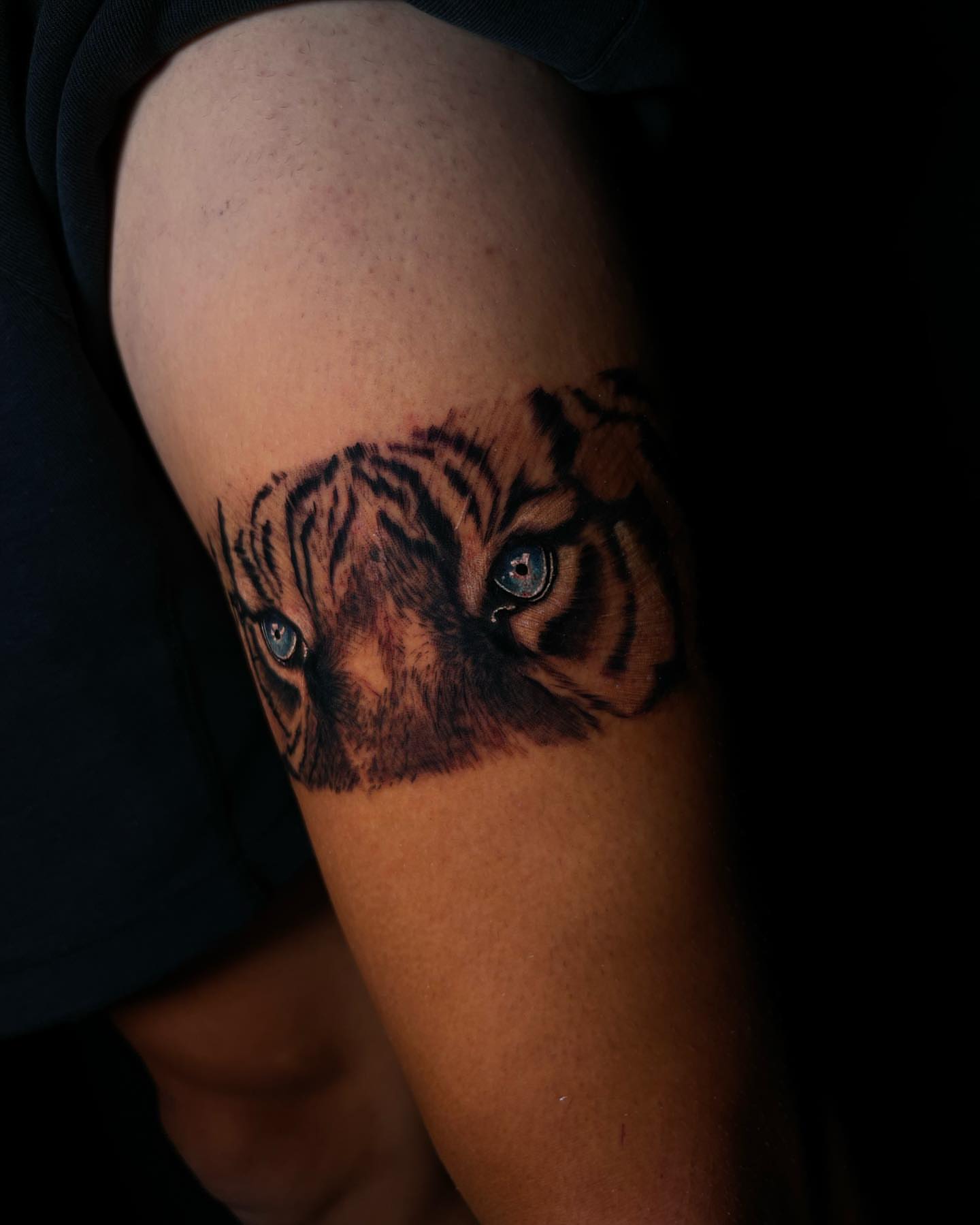 Tiger realism tattoo on the forearm by Dori