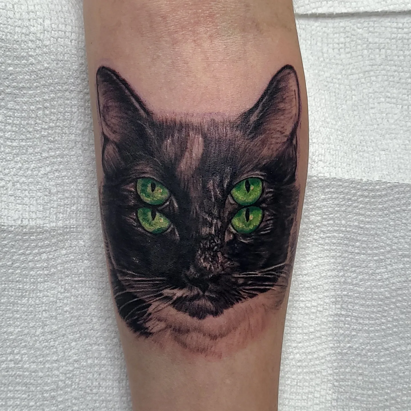 Black cat realism tattoo on the forearm by Dan Redding