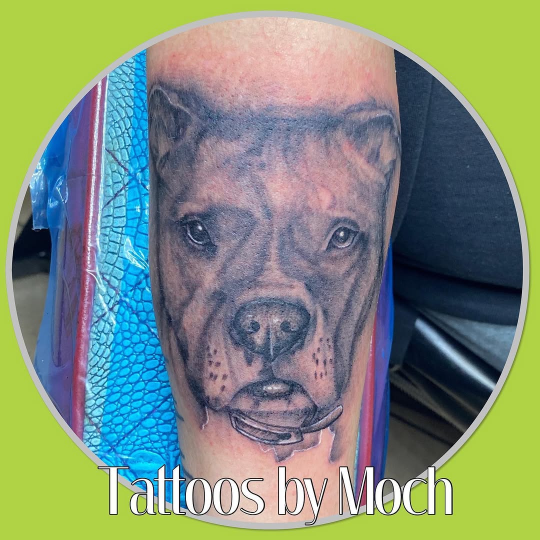 Dog portrait realism tattoo on the forearm by Tattoos By Moch, Toledo, Ohio