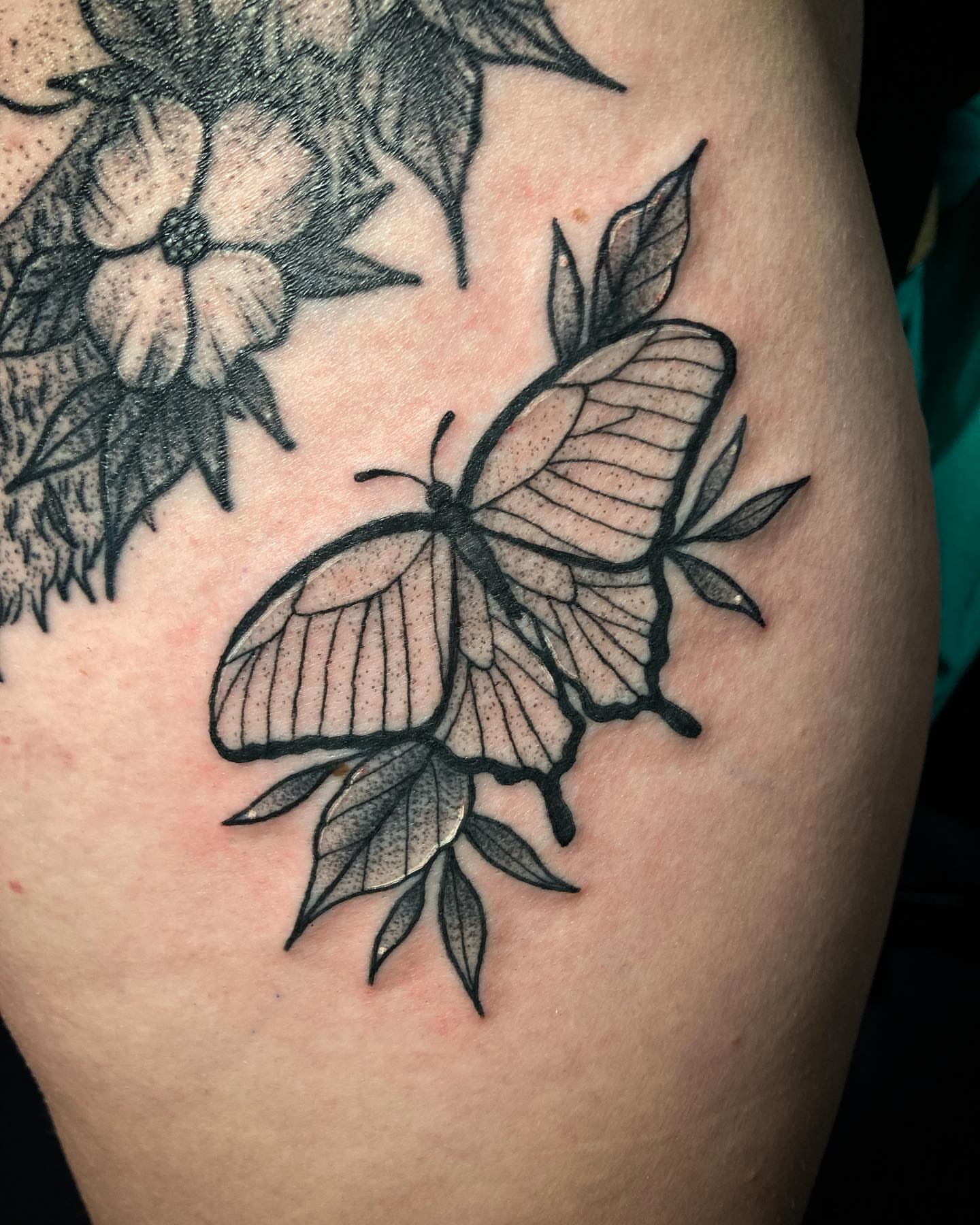 Butterfly black and grey tattoo on the thigh by โจ๐๐๐ฑ๐ฑ๐ฌ๐ฌ๐ฐ ๐๐ถ ๐๐ฏ๐ฆ๐ซโจ