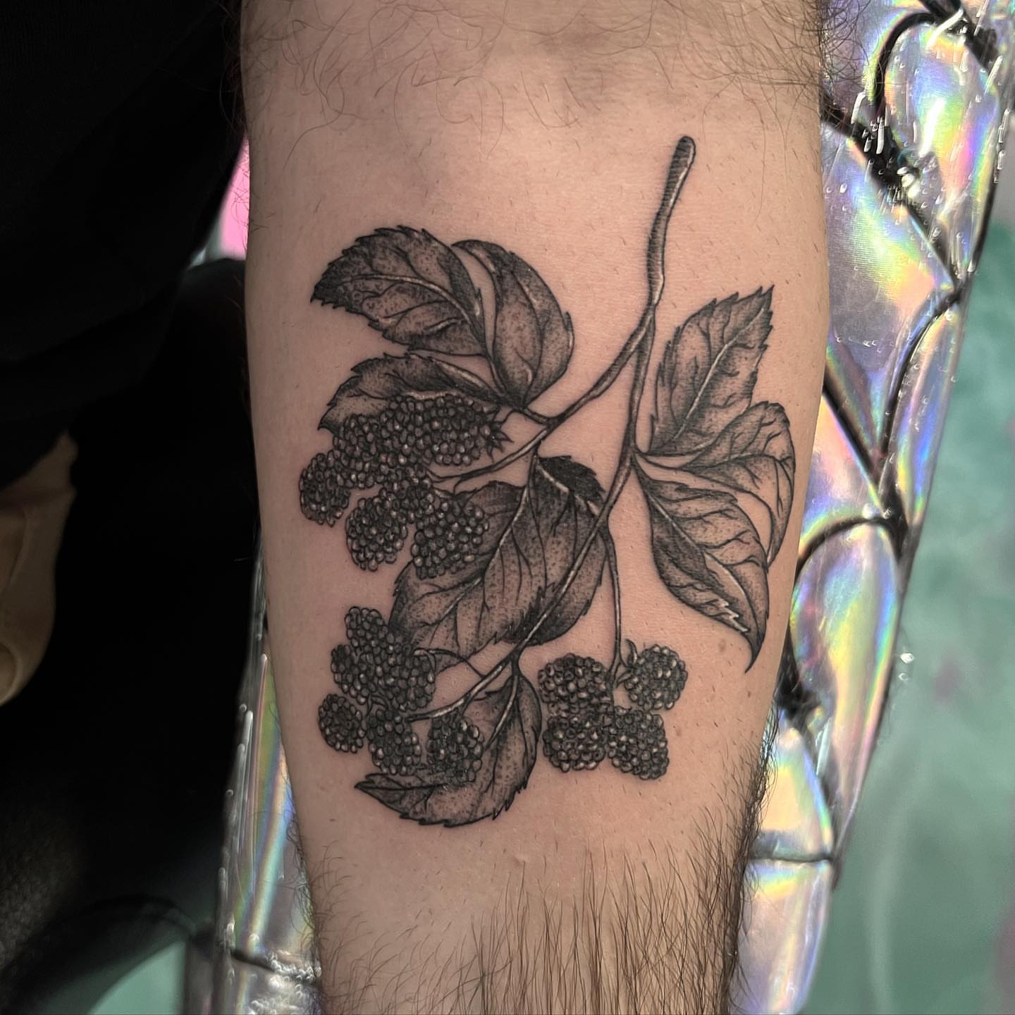 Blackberry branch realism tattoo on the forearm by Syd Cheyenne