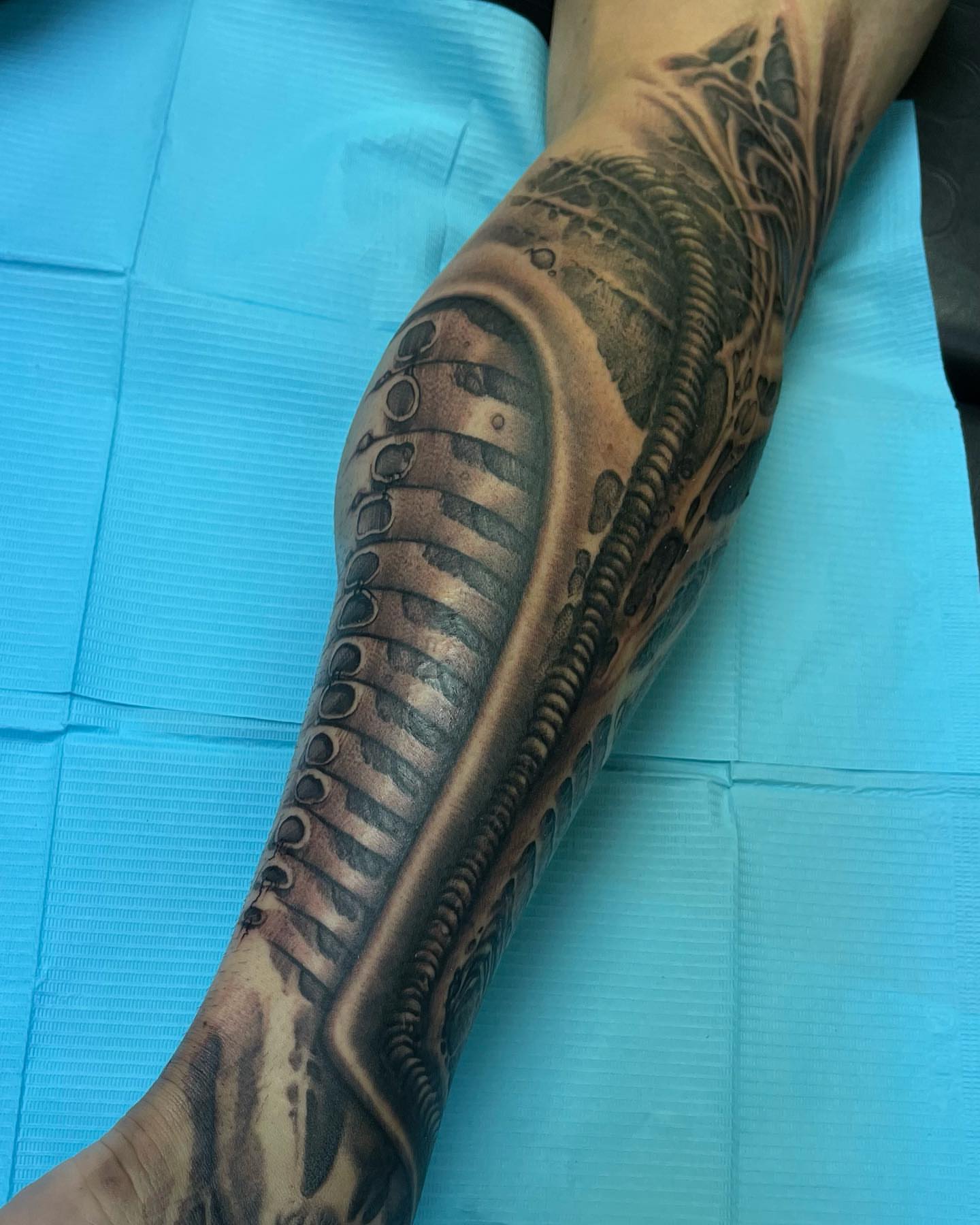 Spine black and grey tattoo on the forearm by Shaine Smith, Durham, North Carolina
