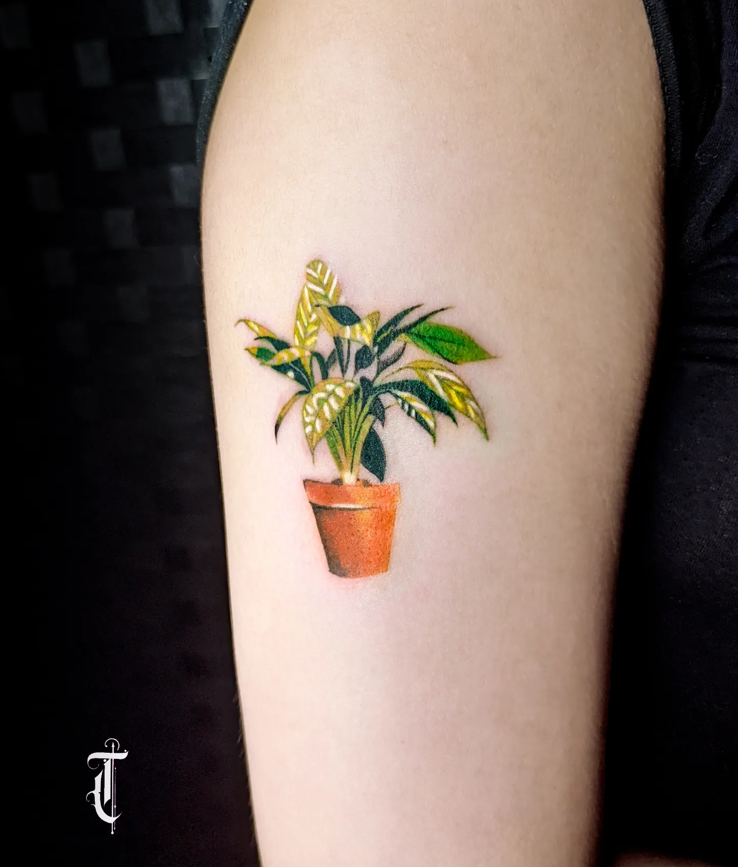 Tattoo by @tommytattoo333 — realism