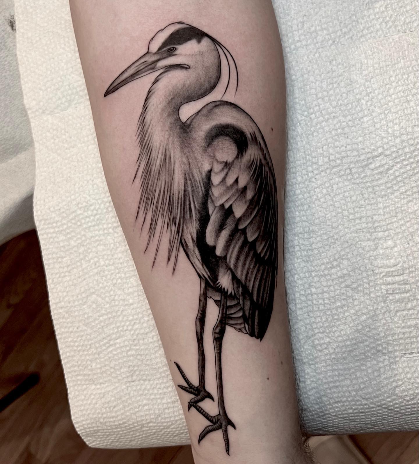 Heron realism tattoo on the forearm by Chelsea Darling