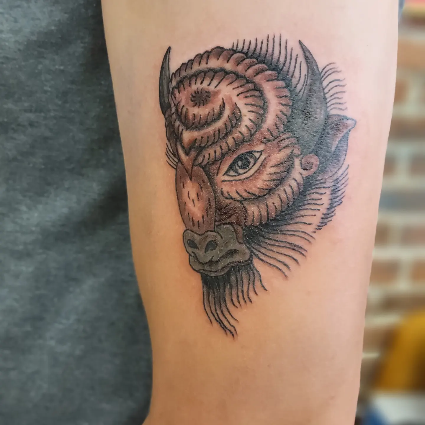 Buffalo head American traditional tattoo on the forearm by Tim Andrews