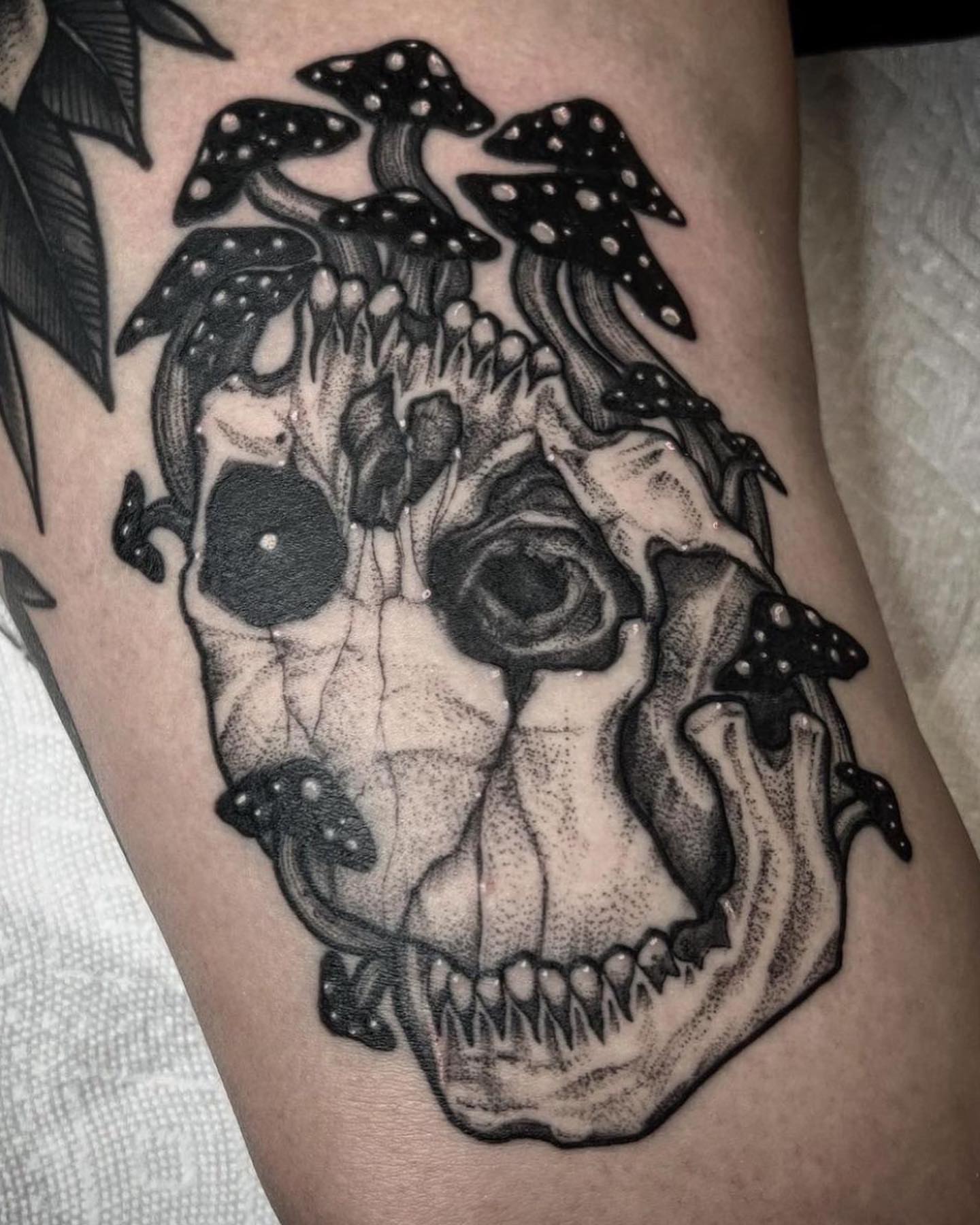 Skull dotwork tattoo on the forearm by Kyle Black