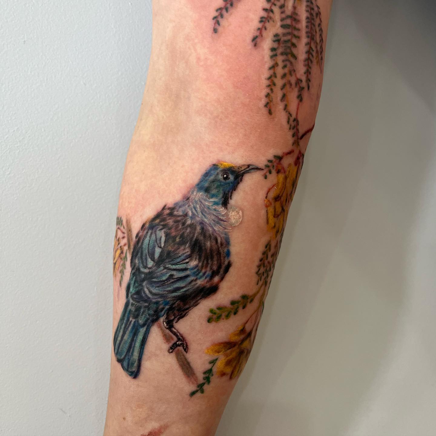 Bird realism tattoo on the forearm by Tyler Bolton