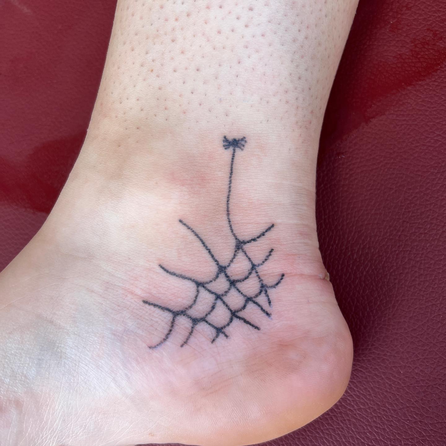 Dandelion fine line tattoo on the foot by mars