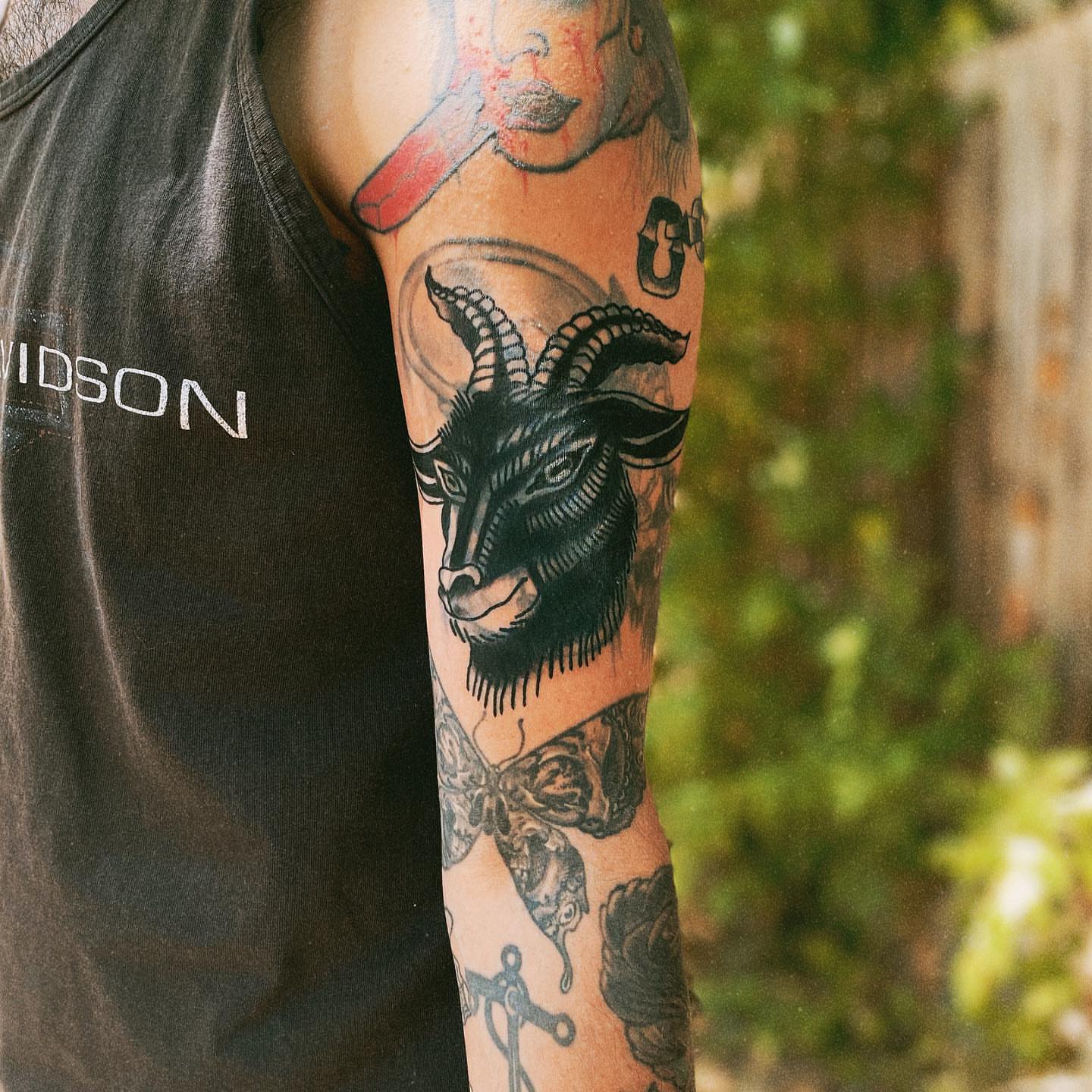 Goat head American traditional tattoo on the forearm by Myka King