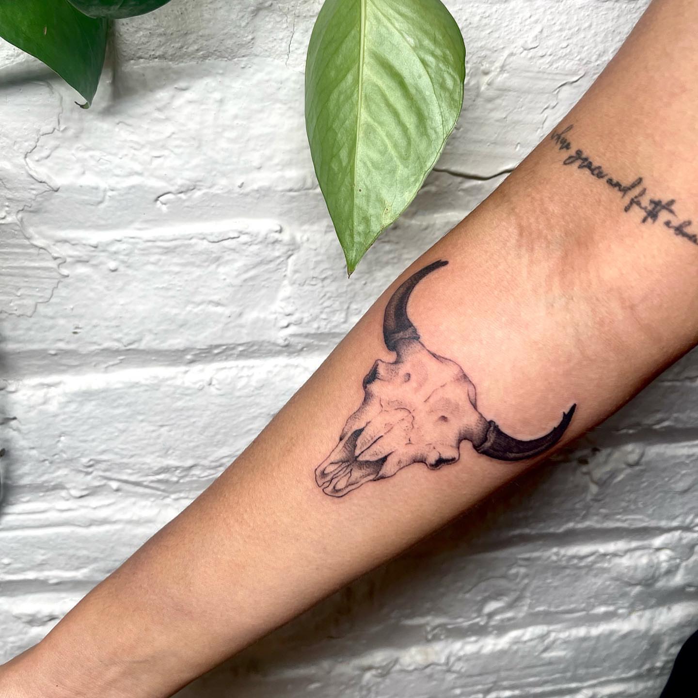 Bull skull black and grey tattoo on the forearm by 𓆏 Alyssa Carbonara 𓆏