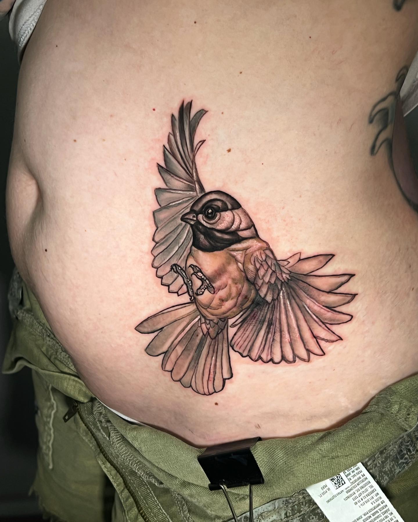 Bird realism tattoo on the torso by Josh Green