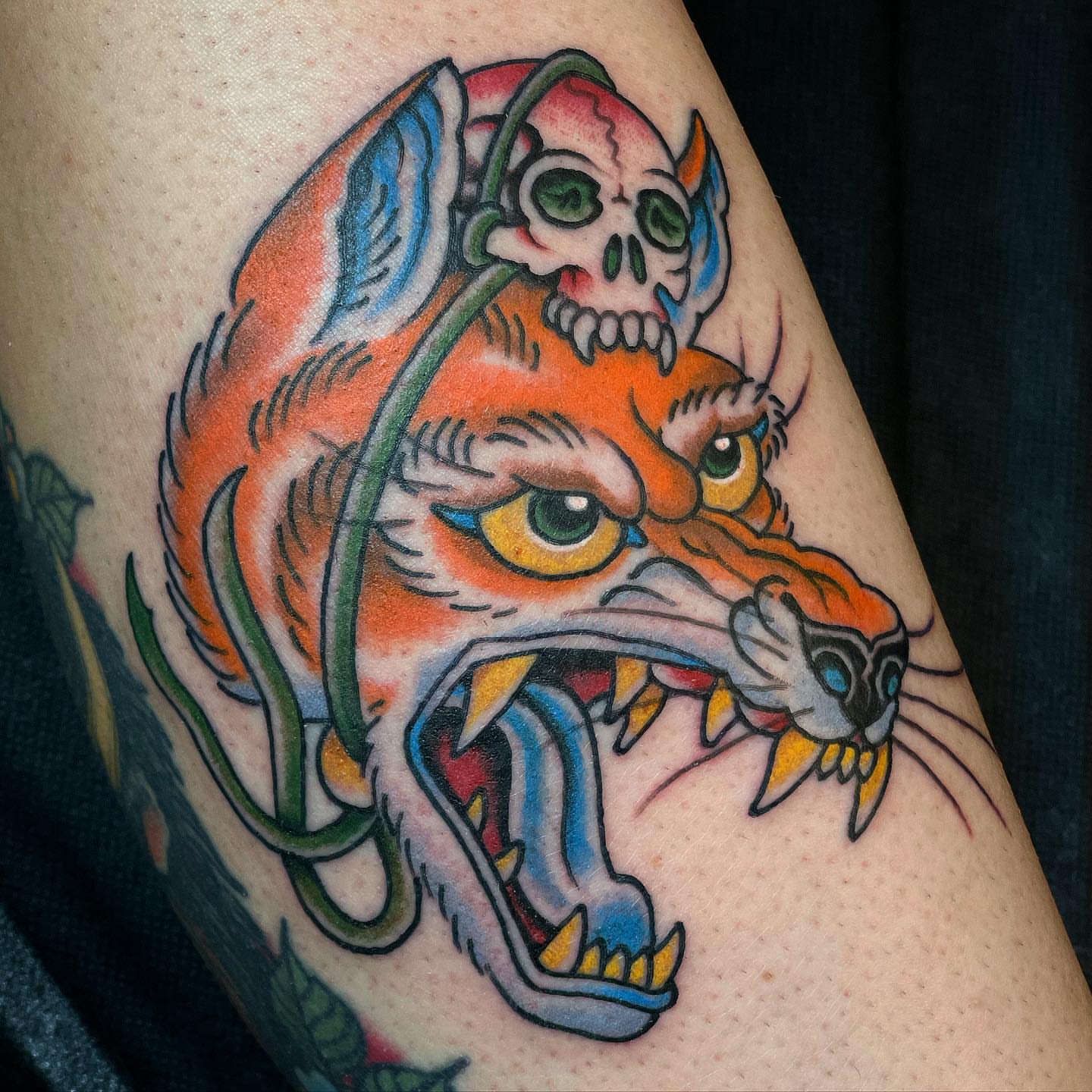 Tiger with skull American traditional tattoo on the forearm by Bryan Humphries
