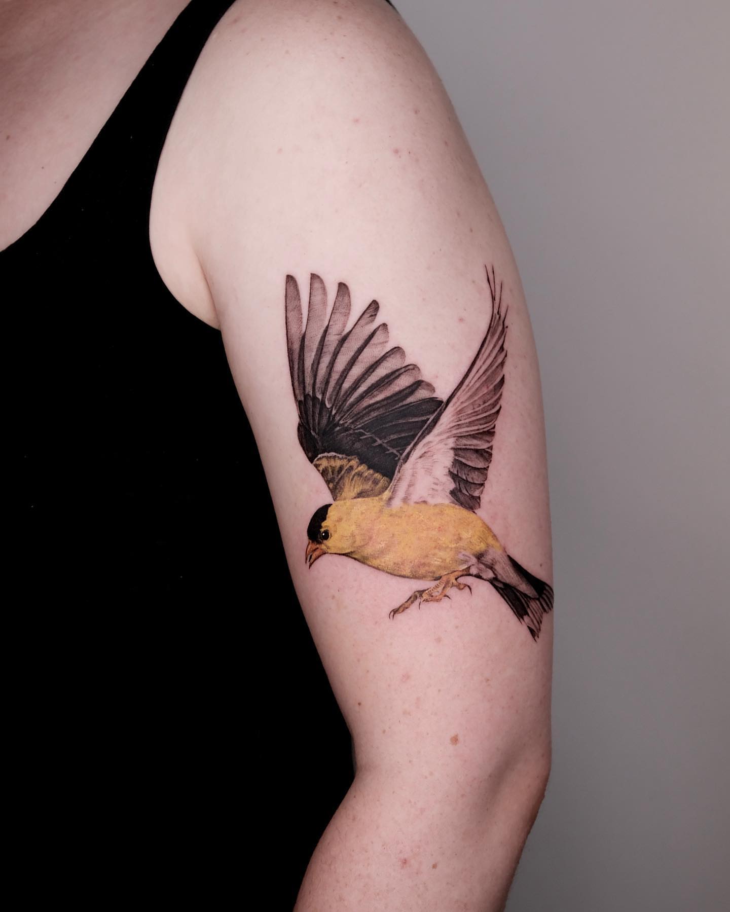 Bird realism tattoo on the forearm by Zay - Realistic tattoo Artist