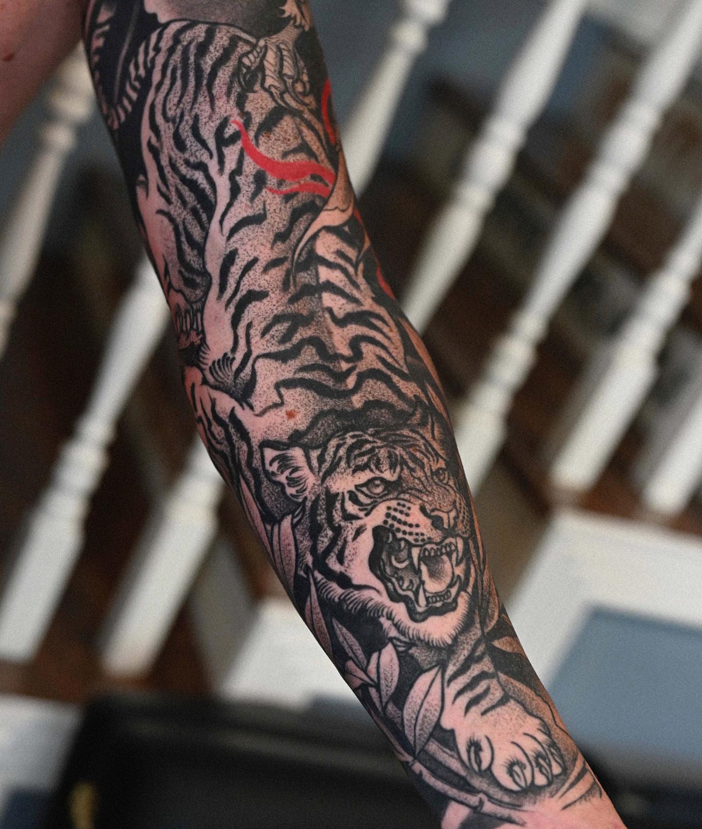 Roaring tiger American traditional tattoo on the forearm by Lorenzo Lopez