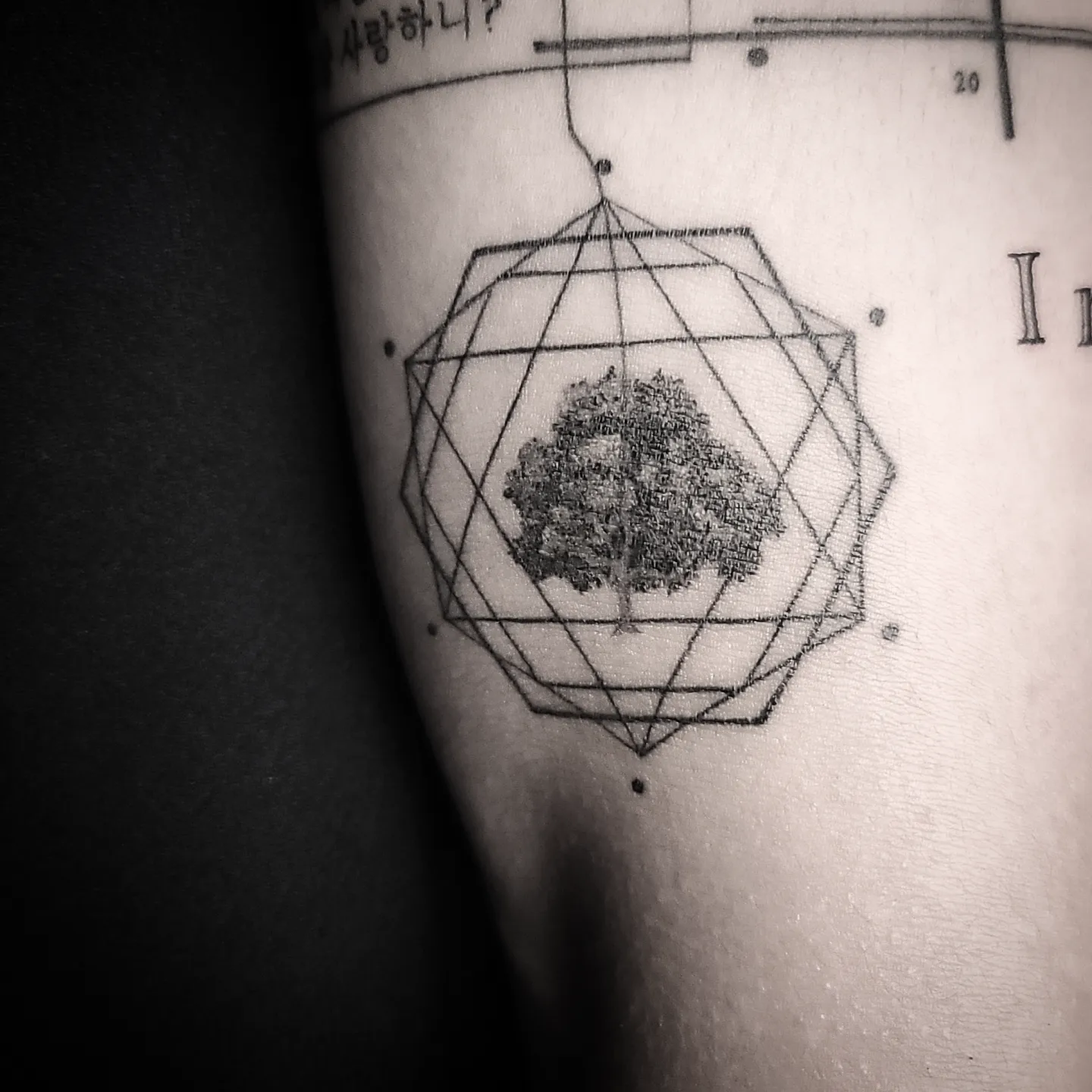 Tattoo by @nu9na_tattoo — geometric