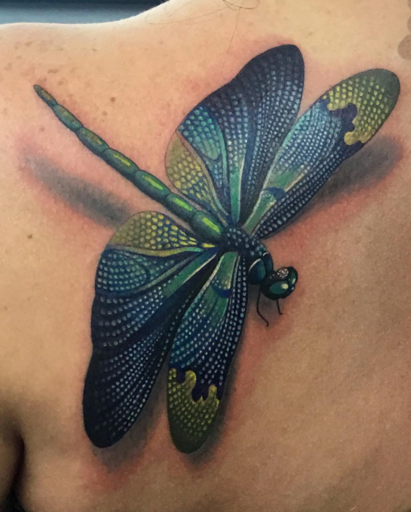 Tattoo by @howboutjesse_tattoos — dotwork