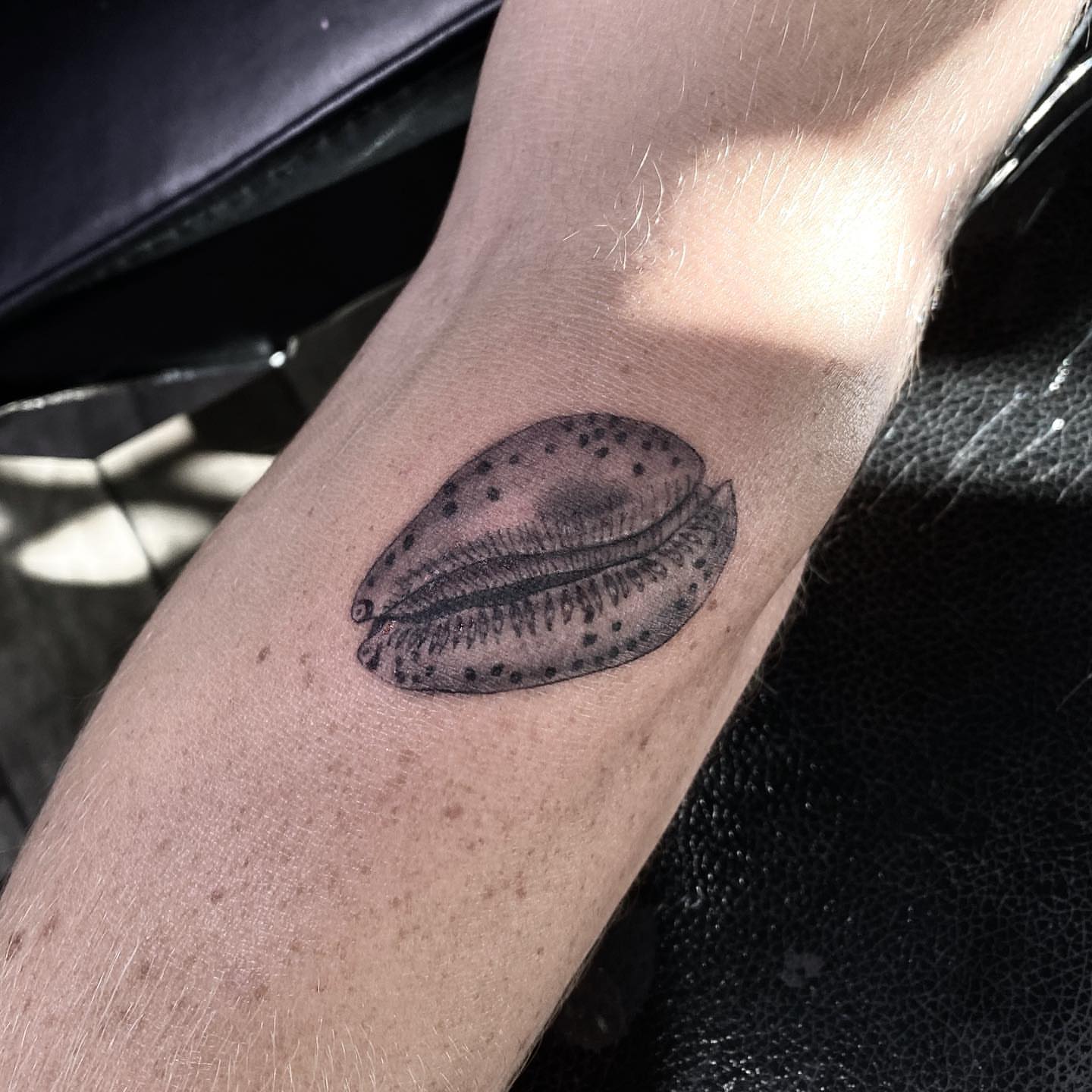 Seashell dotwork tattoo on the forearm by Sela ✨Las Vegas Tattoo Artist