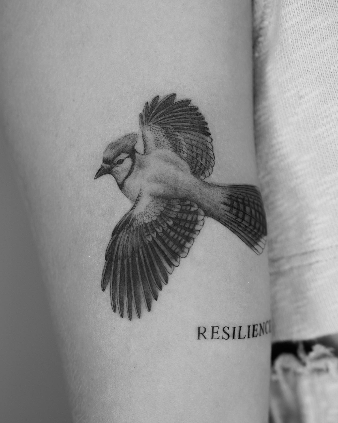 Bird realism tattoo on the forearm by Tattoo Artist
