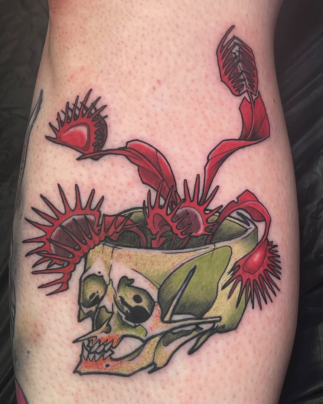 Skull with venus flytraps American traditional tattoo on the thigh by Joe Moreira