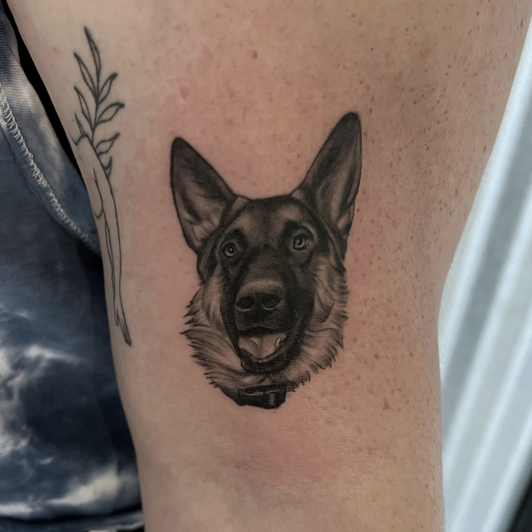 German shepherd realism tattoo on the forearm by Bill Johenning, Lakewood, Ohio