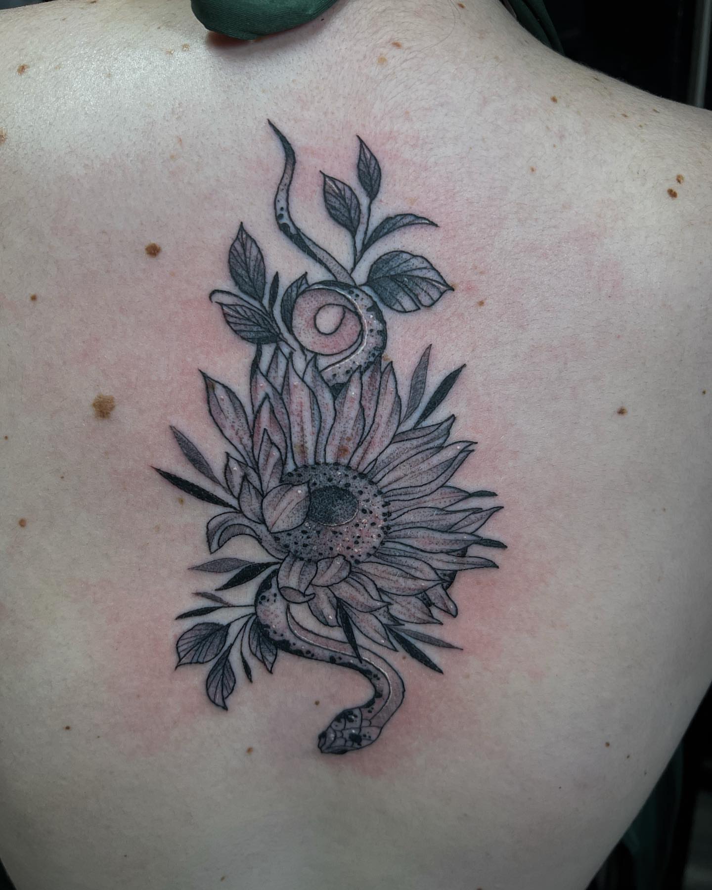 Tattoo by @duffsart — black_and_grey