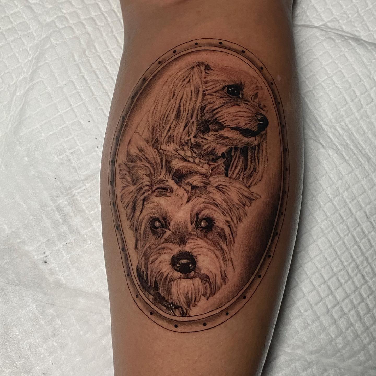 Dogs realism tattoo on the forearm by Sydney Dixon, Sacramento, California