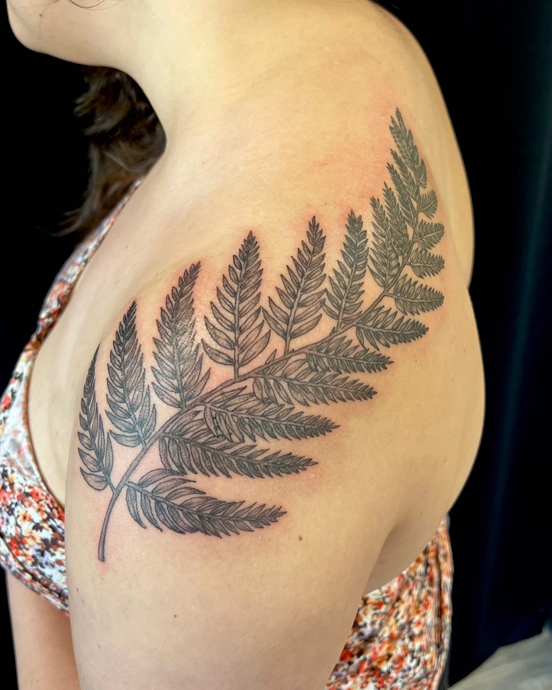 Fern leaf black and grey tattoo on the shoulder by Iconic Ink, Millbury, Massachusetts