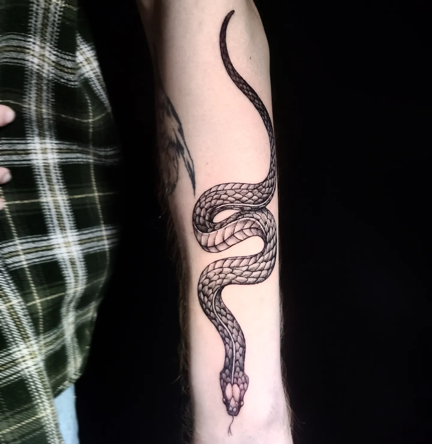Snake black and grey tattoo on the forearm by Sydney Paige, Mentor, Ohio
