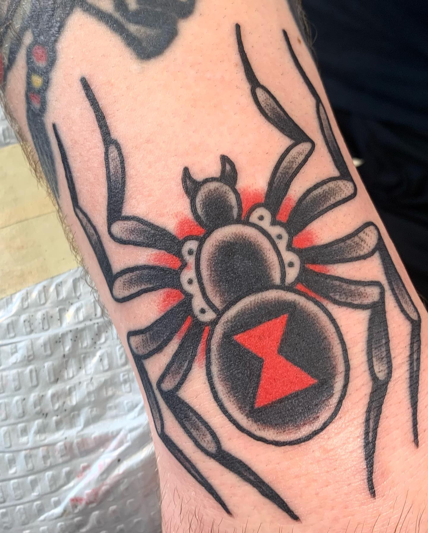Spider American traditional tattoo on the forearm by David Steed, Dallas, Texas