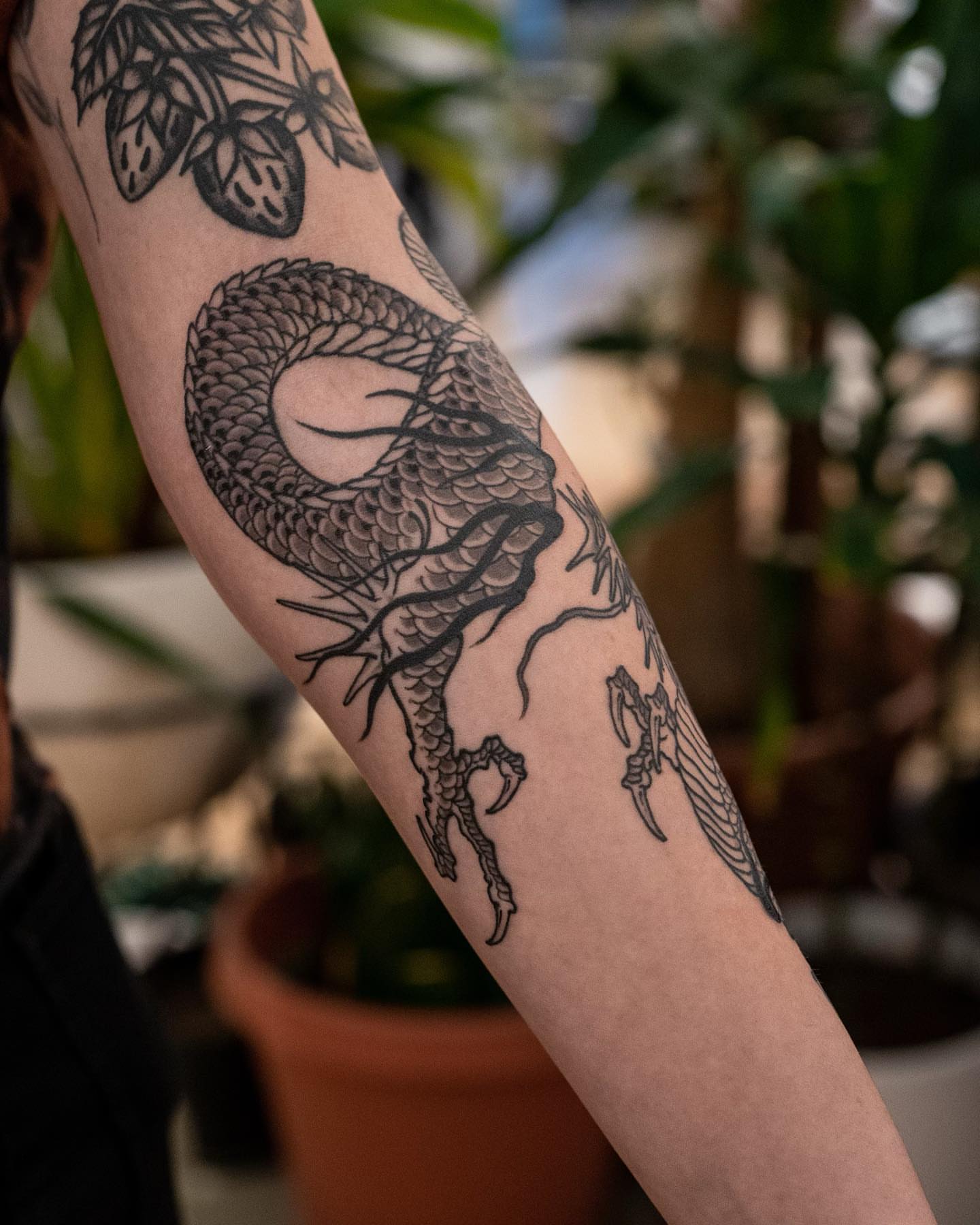 Dragon black and grey tattoo on the forearm by Matt Leibo, San Francisco, California