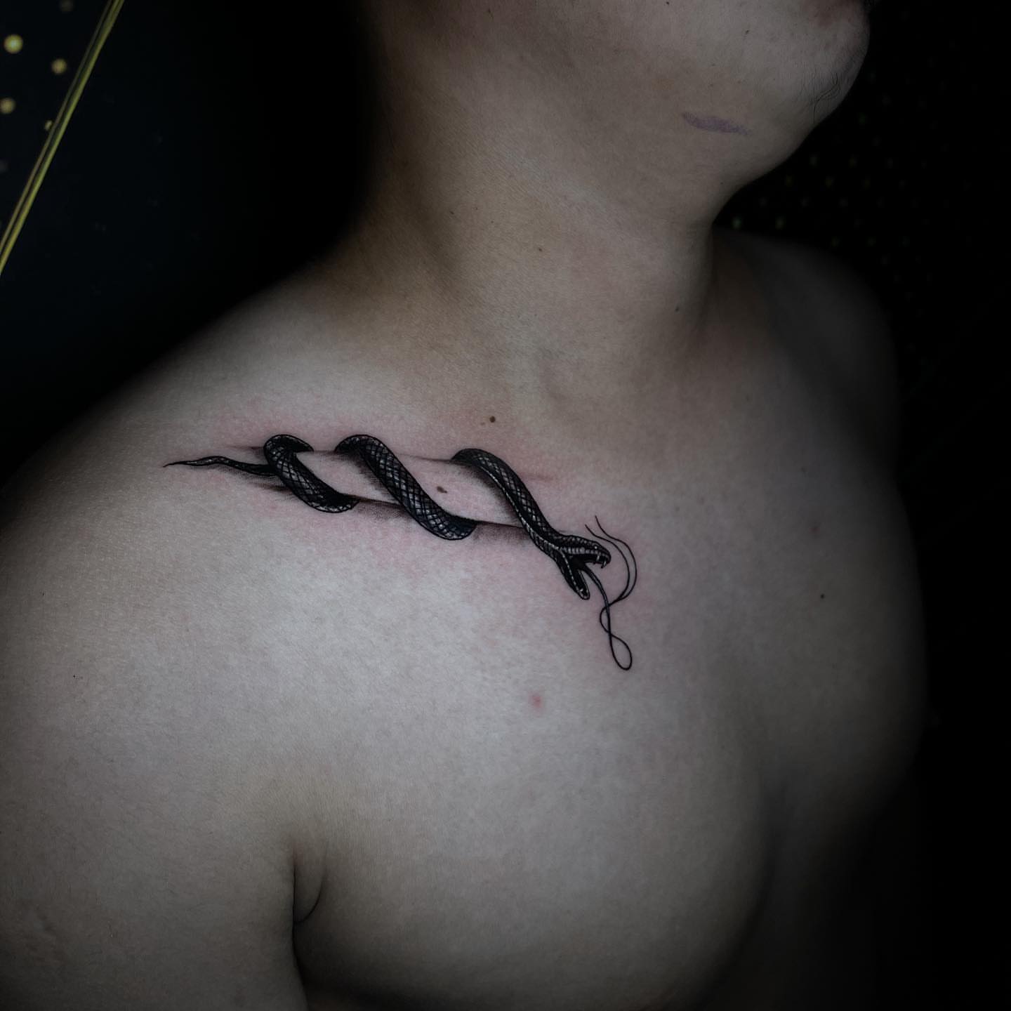 Snake realism tattoo on the chest by Dori