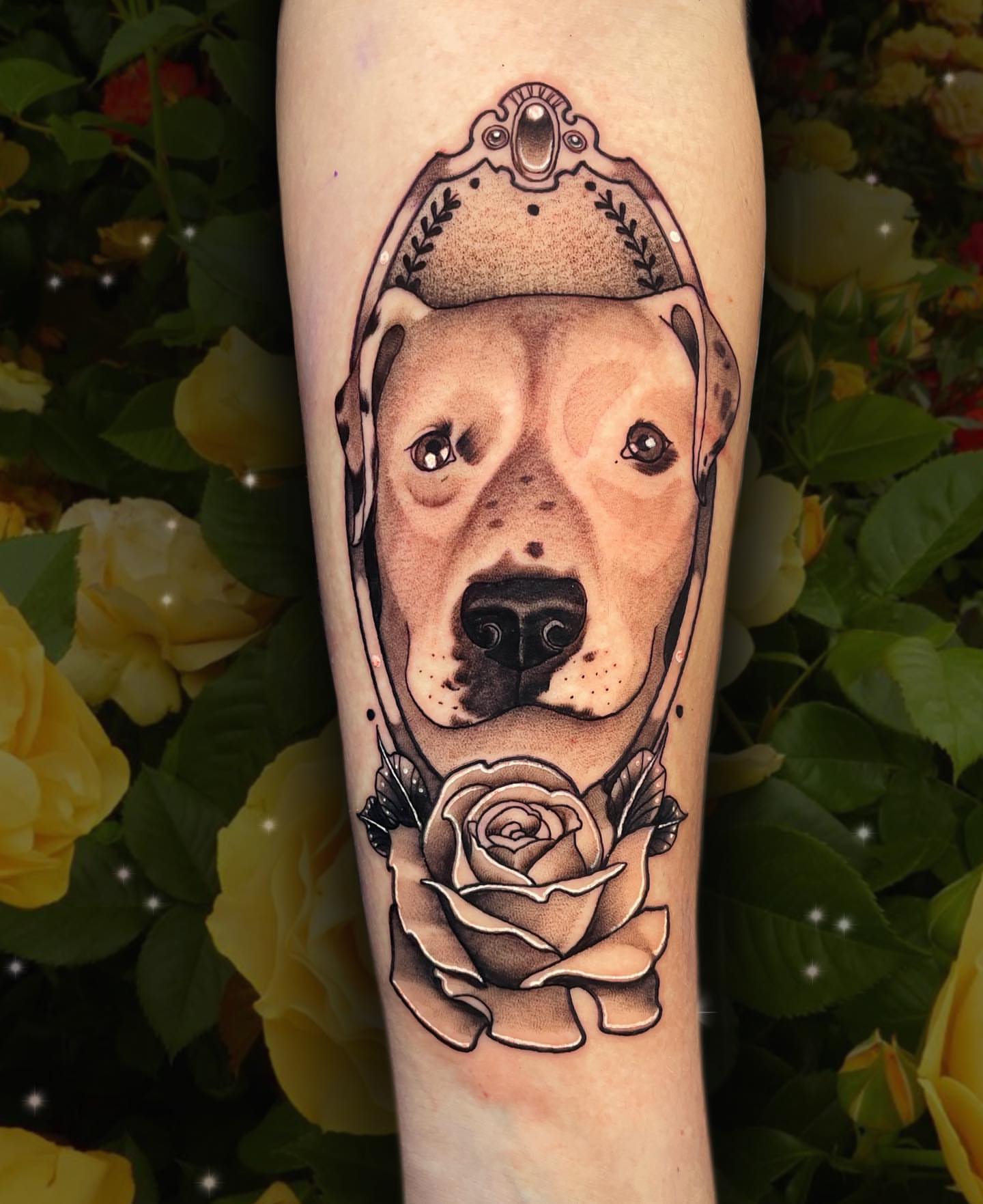 Pit bull portrait American traditional tattoo on the forearm by Wendy Ruiz