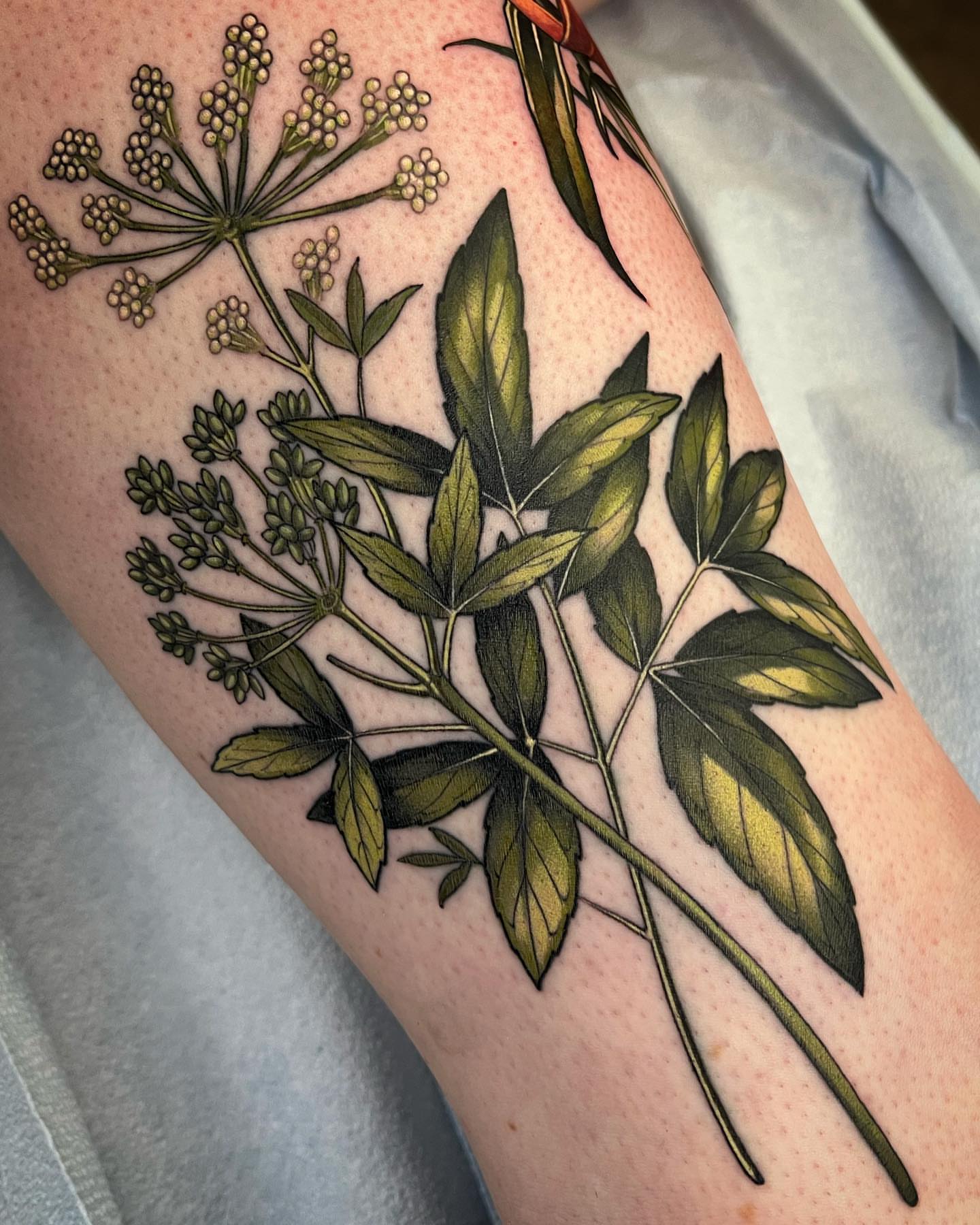 Tattoo by @squirestrahan — realism