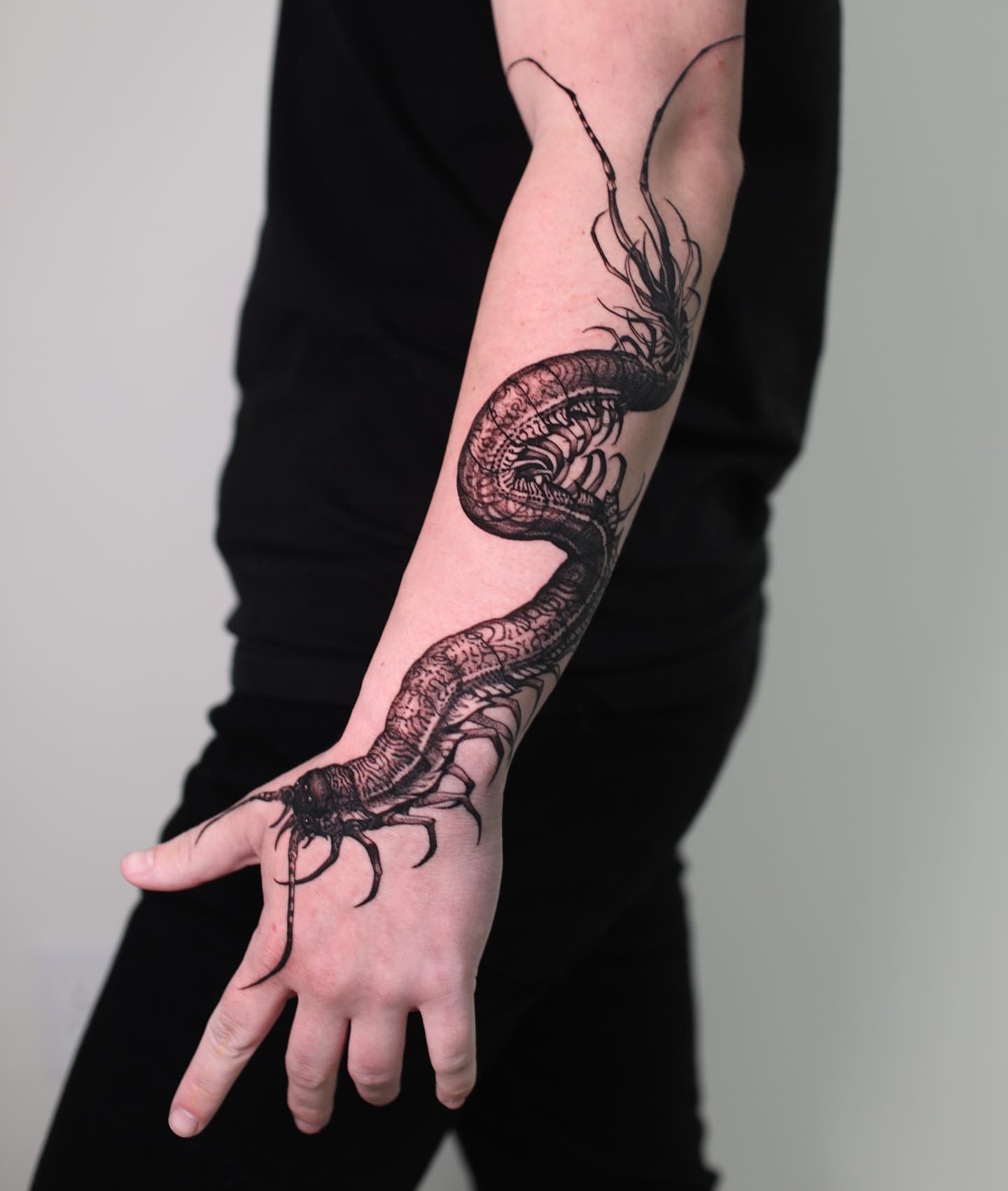 Centipede black and grey tattoo on the forearm by Strokin Konstantin