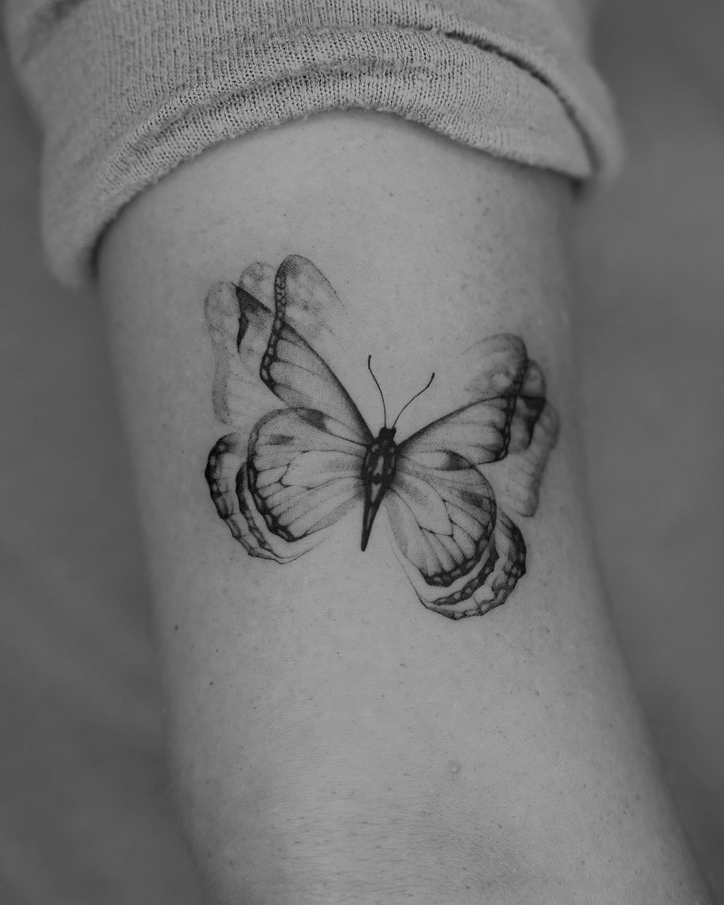 Butterfly realism tattoo on the forearm by Tattoo Artist